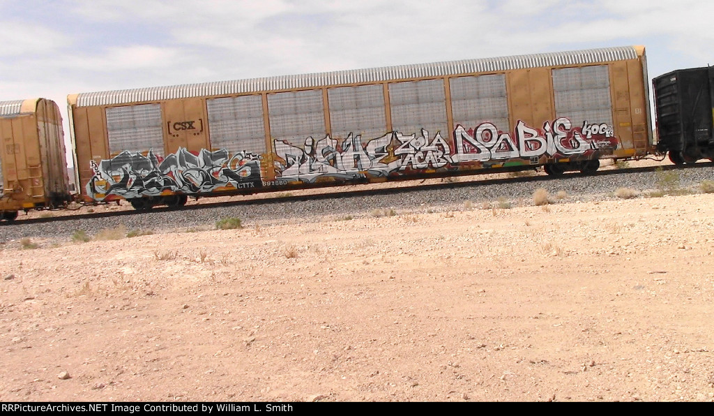 EB-2 Manifest Frt @ Erie NV -10